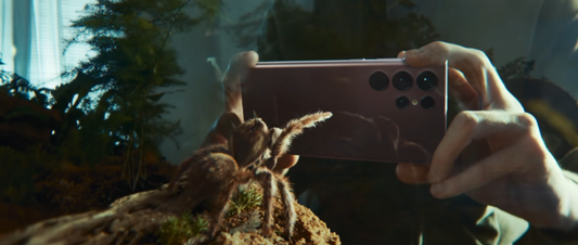 The Spider and the Window – A Story That Stayed