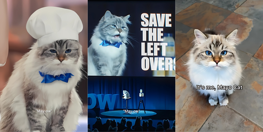 The Meow That Made Millions: How Hellmann’s Turned a Talking Cat Into a Purpose-Driven Icon