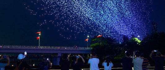 When 10,000 Drones Moved as One