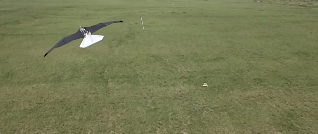 When a Bird Redefined the Idea of a Drone