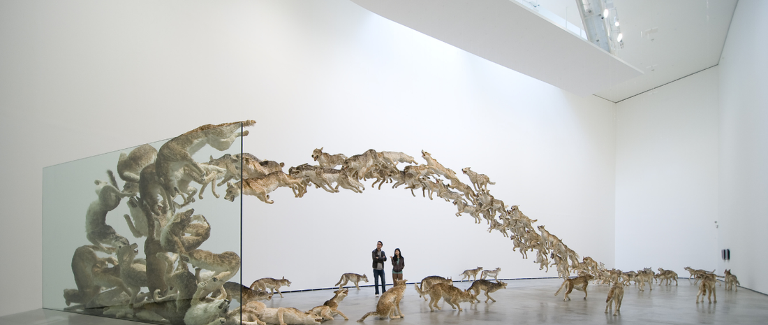 When Holograms Turned Into Howls: A Spectacle That Redefined Live Performance